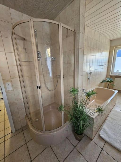 Ferienhaus Distelfink Entspannen In Der Mitte Von Deutschland Gudensberg 외부 사진