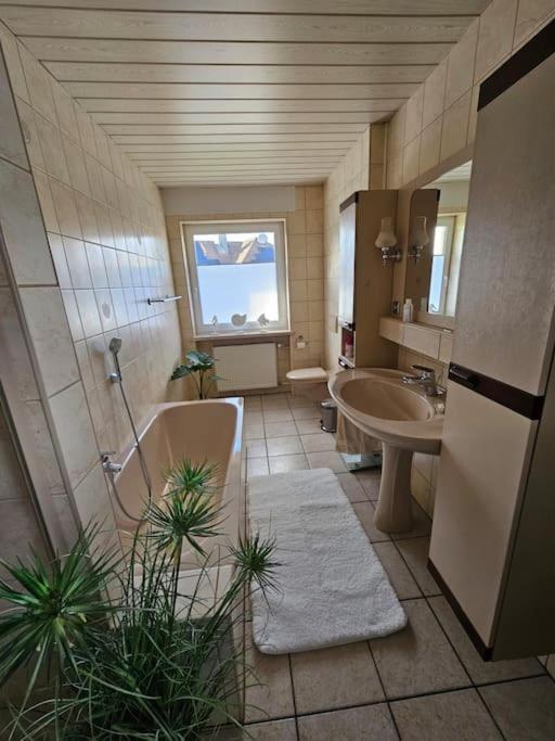 Ferienhaus Distelfink Entspannen In Der Mitte Von Deutschland Gudensberg 외부 사진